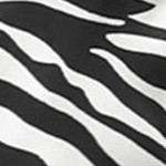 zebra print