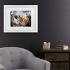 Trademark Fine Art - Fabien BRAVIN Hidden Paradise Matted Framed Art - 2 of 4