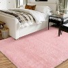 Fluffy Area Rug- Shag Area Rug for Living Room, Shaggy Large Indoor Thick Living Room Carpet with Non-Slip Backing, Soft Plush Carpet - 3 of 4