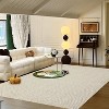 Acekool 5x7 Washable Braided Print Area Rug, Non-Slip Modern Soft Carpet, Stain Resistant Low Pile Throw Rug for Living Room, Bedroom - 2 of 4
