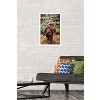 Trends International Star Wars: Return of the Jedi - Wicket W. Warrick Framed Wall Poster Prints - 2 of 4
