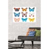 Trends International Watercolor Butterflies Unframed Wall Poster Prints - 2 of 4