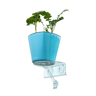 Compact White and Blue Self-Watering Window Shelf Planter