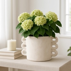Pottery and Cement Planter with Unique Multi-Loop Handle Design, Stylish Contemporary Accent For Home Décor - 1 of 4