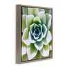 Stupell Industries Green Succulent Nature Close Up, 18" x 18" - 3 of 4