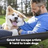 PetSafe Stubborn Dog Fence Collar - Dog Electric Collar Waterproof Receiver, Battery Operated, In Ground Containment for Pets - 4 of 4