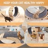 BABYYER Cat Exercise Wheel, Large Cat Treadmill with Cat Bed, Detachable Mat, Climbing Frame and Nest Toy, Indoor Pet Activity Center - 2 of 4