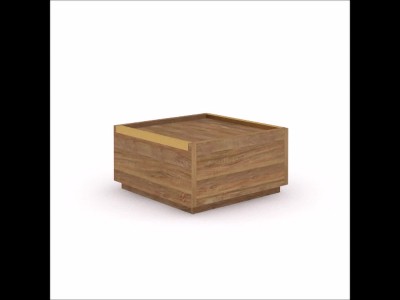 Sindoori Mango Modern Square Coffee Table with Storage