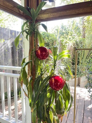 Guest review image 1 of 2, zoom in