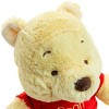 Disney Baby Winnie the Pooh and Friends 12 Inch Collectible Stuffed Animal Plush Toy - 3 of 4