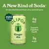 OLIPOP Mini's Ginger Ale Soda - 6pk/7.5 fl oz Cans - 2 of 4