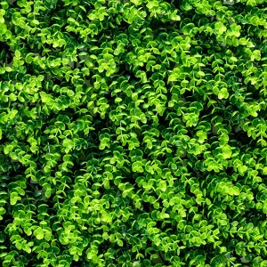 Costway 12PCS 16x24inch Artificial Eucalyptus Hedge Plant Privacy Fence Panels - 1 of 4