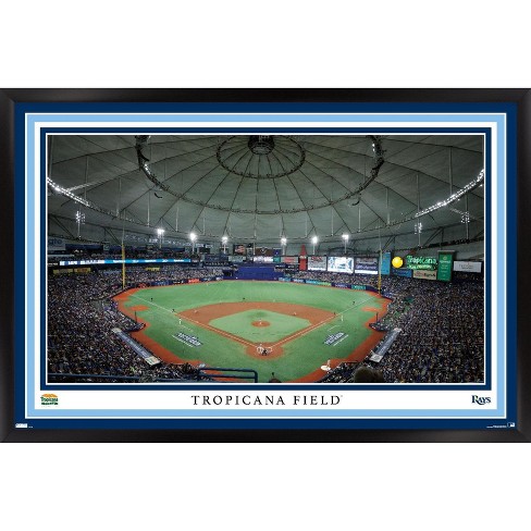 Mlb Tampa Bay Rays Baseball Field Metal Panel : Target