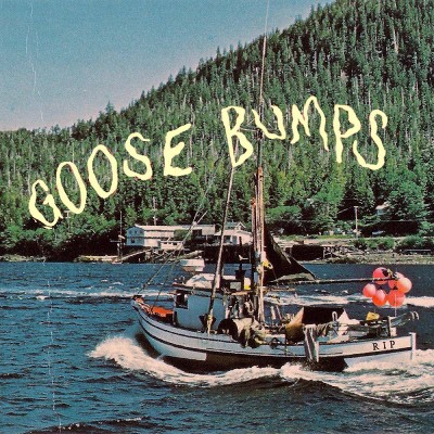 BOYSCOTT - Goose bumps (CD)