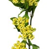 Allstate Floral Vara Berry Amarillo Artificial Floral Spray - 36" - Yellow - 4 of 4