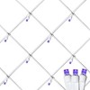 Novelty Lights 100 Light Warm White LED Christmas Net Lights Christmas Decorations Green Wire 4' X 6' - 2 of 4