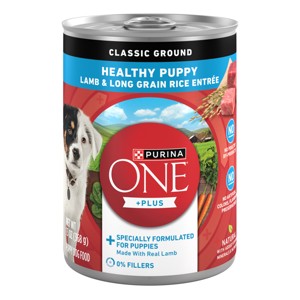 Purina ONE Classic Ground Wet Dog Food - 13oz - 1 of 4