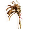 Alilang Decorative Dried Bouquet with Pinecone and Natural Grasses for Home Decoration, 17.5 Inches - Brown - image 2 of 4