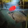 Unique Bargains Plastic Weighted Popping Oval Fishing Floats Rigs 2 Pcs - 4 of 4