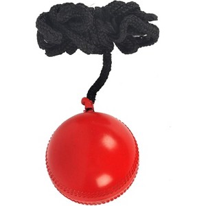 SG Synthetic I Ball with a cord Cricket Hanging Ball For Practice - 1 of 1