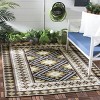 Veranda VER099 Power Loomed Indoor/Outdoor Rugs - Safavieh - 2 of 4
