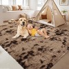 Fluffy Area Rug- Shag Area Rug for Living Room, Shaggy Large Indoor Thick Living Room Carpet with Non-Slip Backing, Soft Plush Carpet - 4 of 4