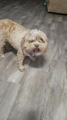 Guest review image 2 of 3, zoom in