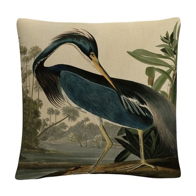 Trademark Fine Art - John James Audubon 'louisiana Heron' 16 X 16 ...