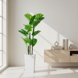 best indoor plant food Organic Indoor Plant Food – Premium Nutrients for Ferns, Pothos & More main image 1