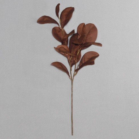 Magnolia Stem Brown - Threshold™ - image 1 of 4