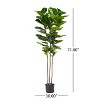 NicBex Artificial Tree Faux Plants 6FT Artificial Fiddle Leaf Fig Tree Indoor with Natural Wood Trunk, Room Decor for Home, Porch - 2 of 4