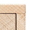 Apis Raffia Console Table - CNS6603 - Safavieh - 3 of 4
