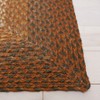 Braided BRD652 Flat Weave Rug - Safavieh - 2 of 4