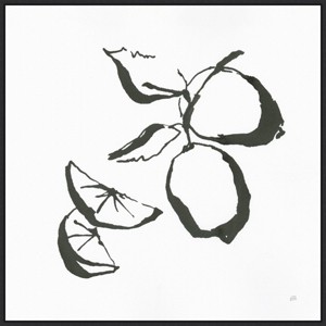 30" x 30" Limes BW by Chris Paschke Canvas - Amanti Art: Ink Drawing Style, Home Decor - 1 of 4