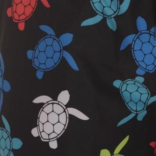 black - bright turtles