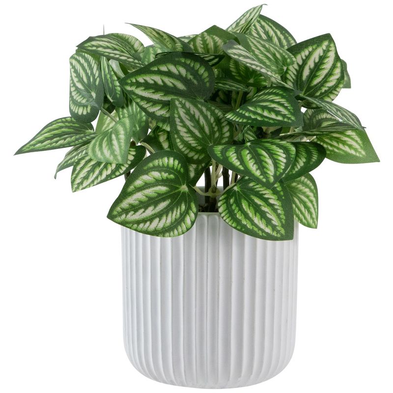 Northlight 6.5" Artificial Watermelon Peperomia Plant in White pot, 1 of 7