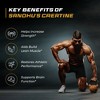 Sandhu's Creapure German Creatine Monohydrate Powder Supplements for Men & Women, Unflavored, 60 Servings, 300 gms, Supports Lean Muscle Building - 3 of 4
