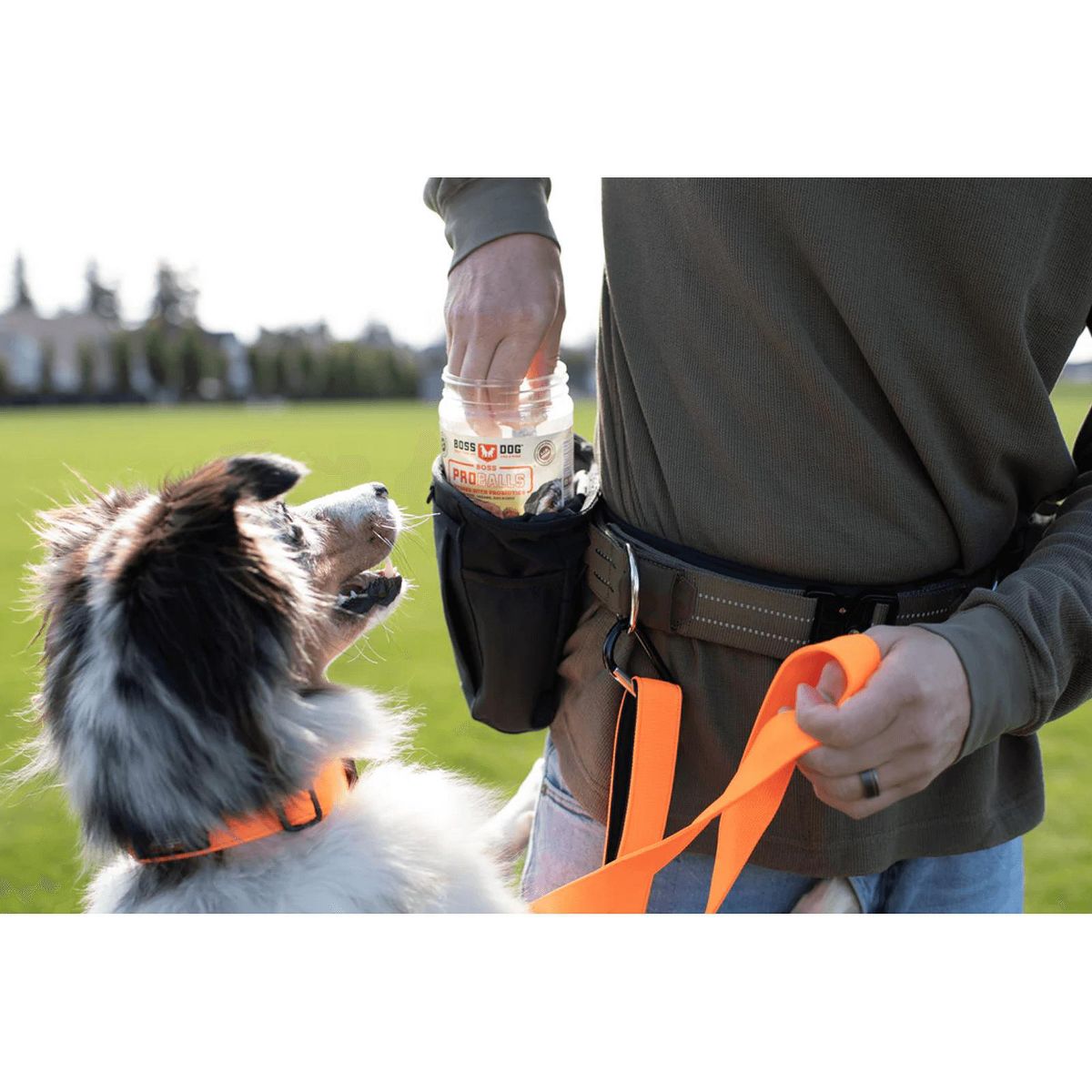 Boss Dog Proballs Treats w/ Probiotics - thumbnail 10