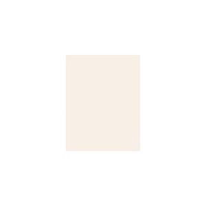 Lux Cardstock 8.5 x 11 inch Ivory 50/Pack 81211-C-104-50 - 1 of 1