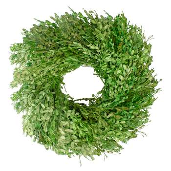 Northlight Green Foliage Artificial Spring Wreath, 15-Inch
