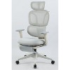 MaseiKar Ergonomic Office Chair with Footrest, High Back Computer Office Chair with Dynamic Lumbar Support, 2D Headrest, 2D Armrest, Sponge Seat - 3 of 4
