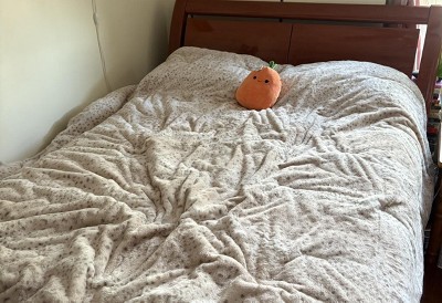 Guest review image 1 of 1, zoom in