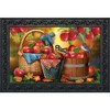 Briarwood Lane Doormat 30x18 Indoor Outdoor Harvest Apple Basket Fall For Fall Doormat - 2 of 4