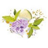 Herbal Essences Bio:renew Moisturizing Shampoo with Cucumber & Green Tea - 13.5 fl oz - image 3 of 4