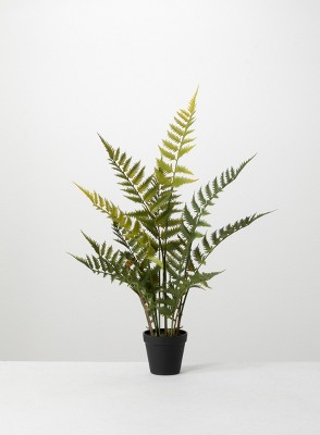 Verdant Charm 12" Plastic Potted Outdoor Fern