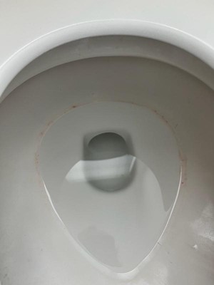 Guest review image 1 of 3, zoom in
