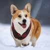 Unique Bargains Dog Cat Warm Vest Plaid Polar Fleece for Winter and Autumn - 3 of 4