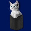 Junior's Design By Humans Pocket Kitten By Mitxeldotcom T-Shirt - 2 of 3