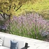 Outsunny Garden Fence, 4 Pack Metal Fence Panels, Animal Barrier & Decorative Yard Border Edging, Landscape, 43" H - 3 of 4
