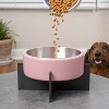 THE LICKER STORE Intersecta Small/Medium Concrete & Stainless Steel Bowl 16oz (2 Cups) w/ Metal Stand Pet Feeder - 2 of 4